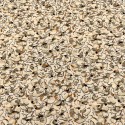 Viscosa Lino Estampado Flores Beige